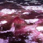 Article Linking Earth's Slowing Rotation to Atmospheric Oxygenation Published in Nature Geoscience